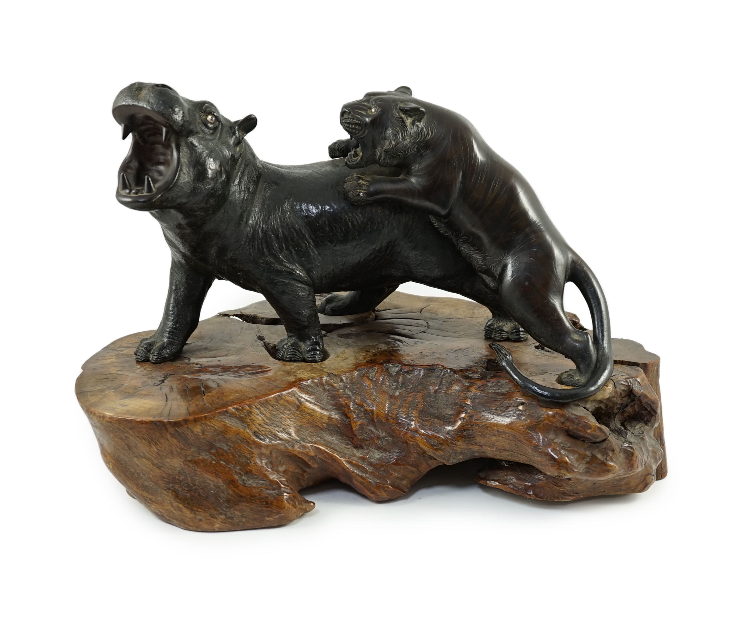 A rare Japanese bronze okimono of a tiger attacking a hippopotamus, Meiji period, Bronze 41 cm long, stand 49 cm long